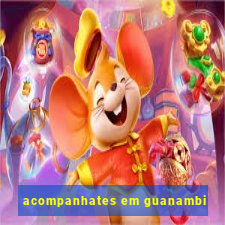 acompanhates em guanambi