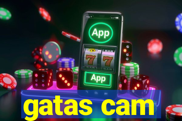 gatas cam