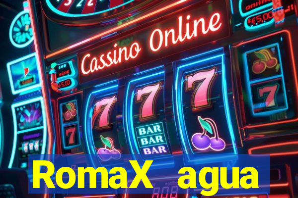 RomaX agua sanitaria fispq agua sanitaria romax