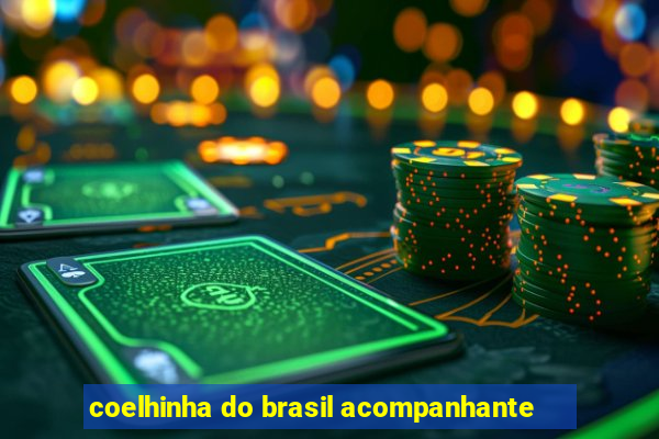 coelhinha do brasil acompanhante