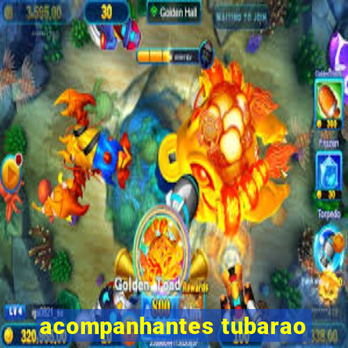 acompanhantes tubarao