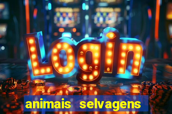 animais selvagens fotos e nomes