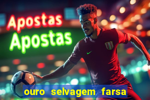 ouro selvagem farsa ouro selvagem o que aconteceu