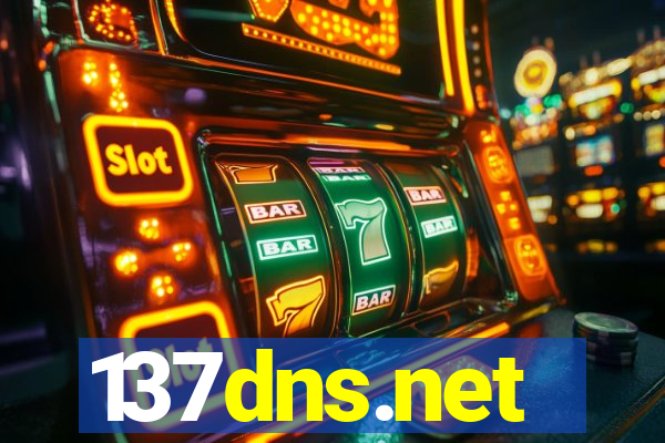 137dns.net